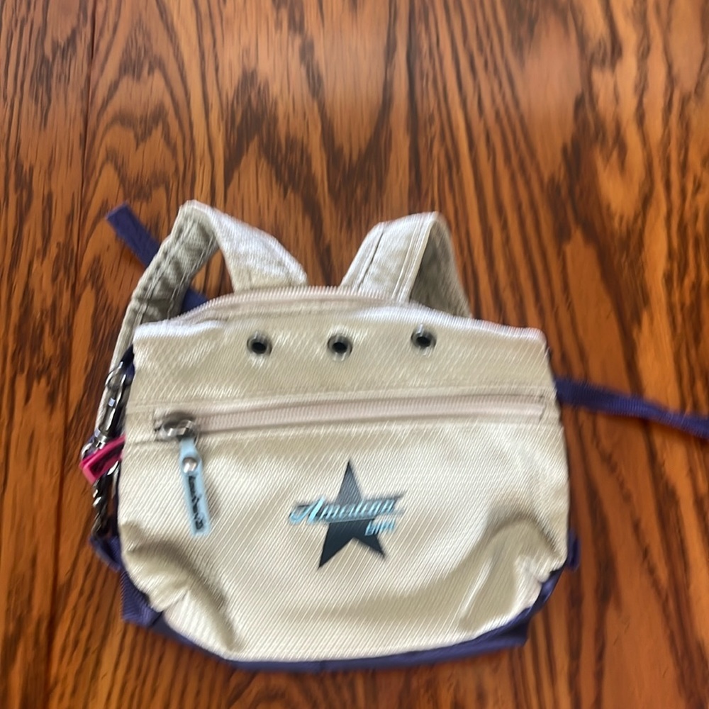 American Girl Doll book bag